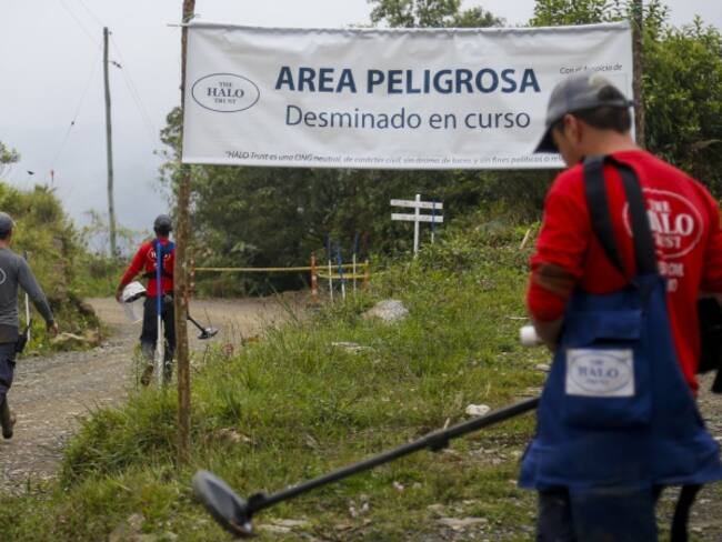 En Colombia se registran 11.495 víctimas por minas antipersona