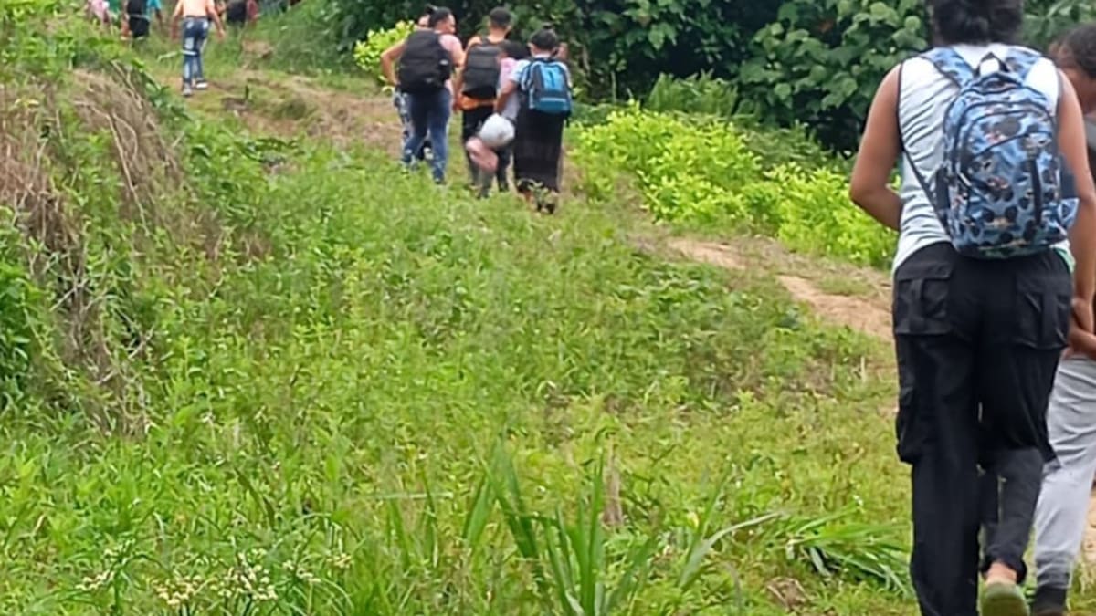La Procuraduría manifestó una gran preocupación por la situación de desplazamiento en Antioquia