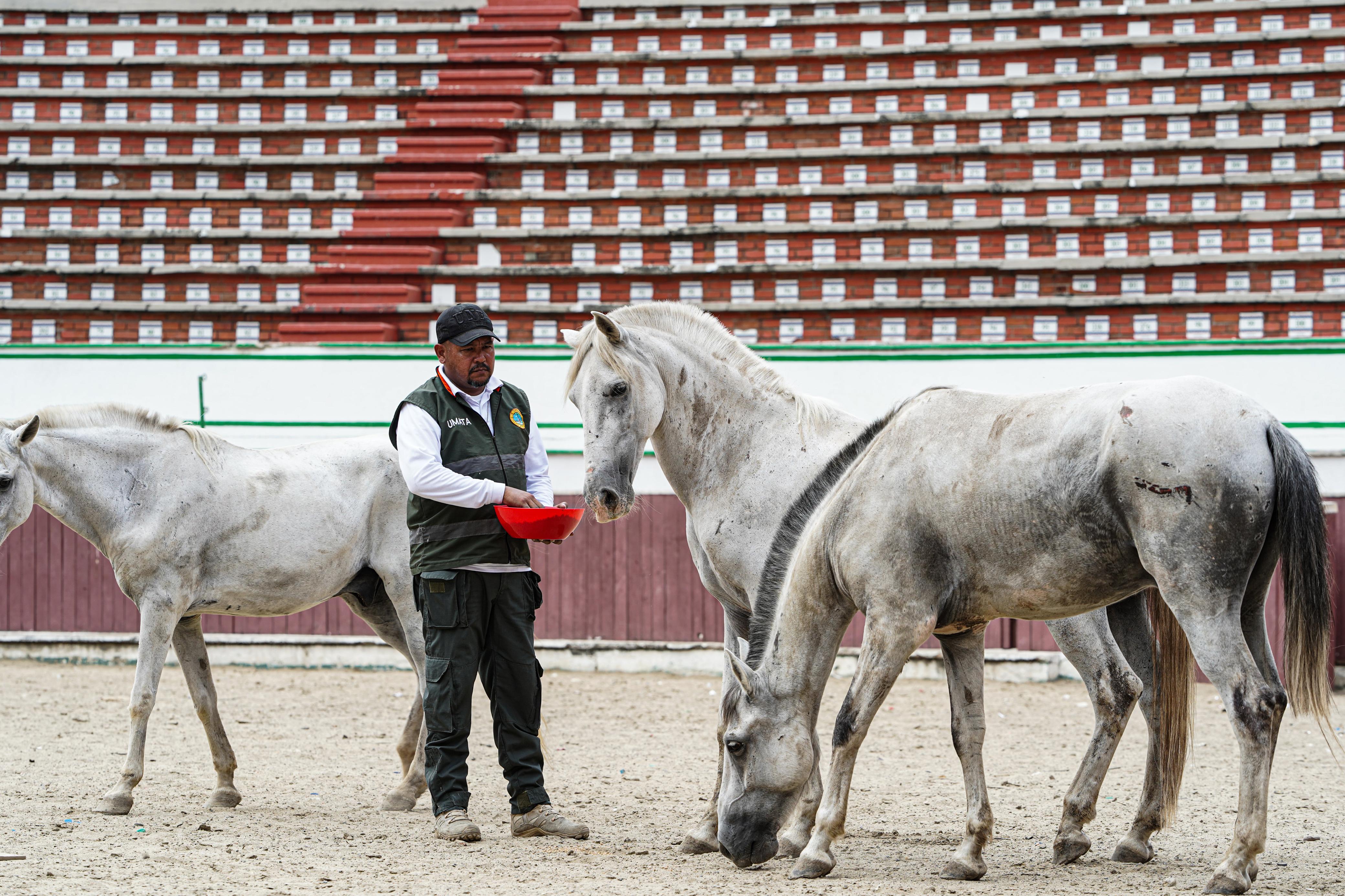 Alcaldía de Cartagena