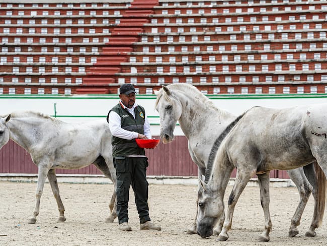 Alcaldía de Cartagena