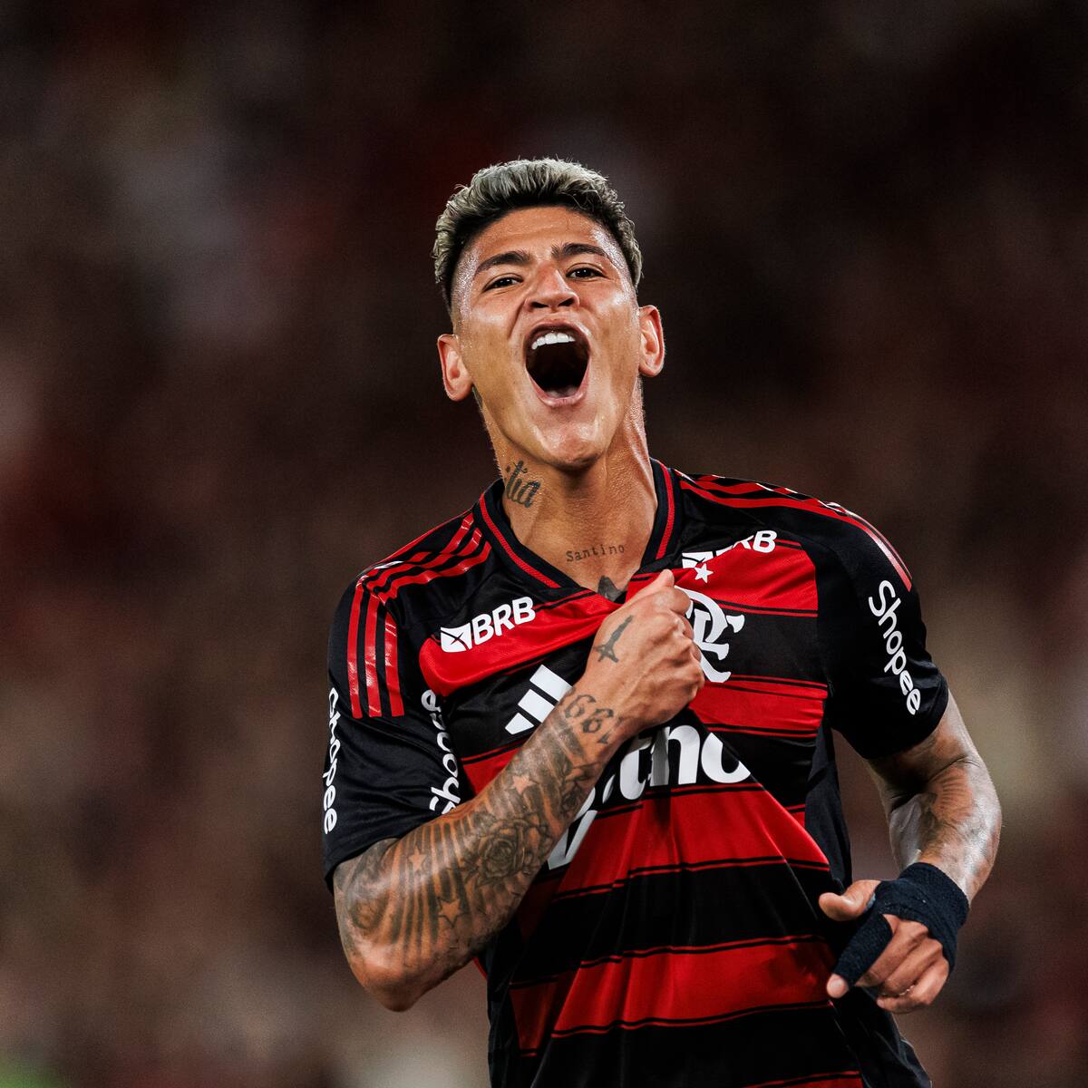 Flamengo empeora la crisis del Santos: vea el golazo de Jorge Carrascal en la Liga de Brasil