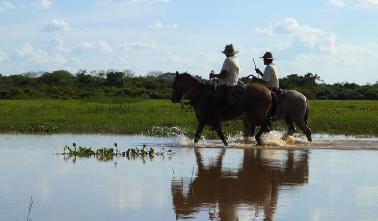 imagen de referencia