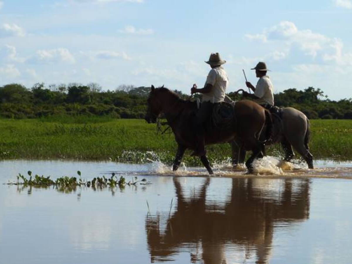 Nuevos recursos para mitigar el cambio climático en Colombia