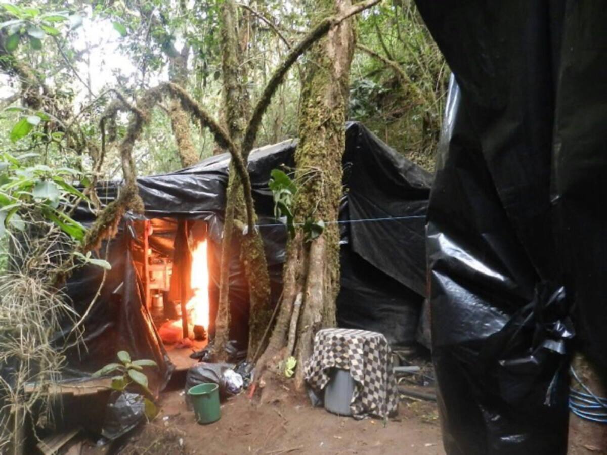 Armada y Ejército destruyeron complejo cocalero en el pacífico nariñense