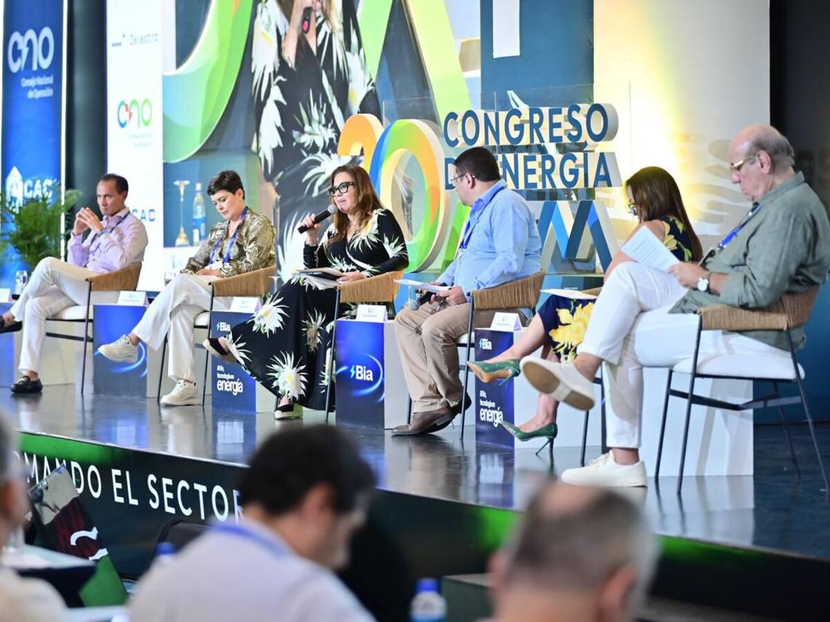 Llamado del sector eléctrico busca mitigar riesgos: Congreso MEM
