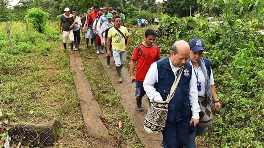Abren investigación formal contra policías por muerte de campesinos en Tumaco. Foto: Colprensa