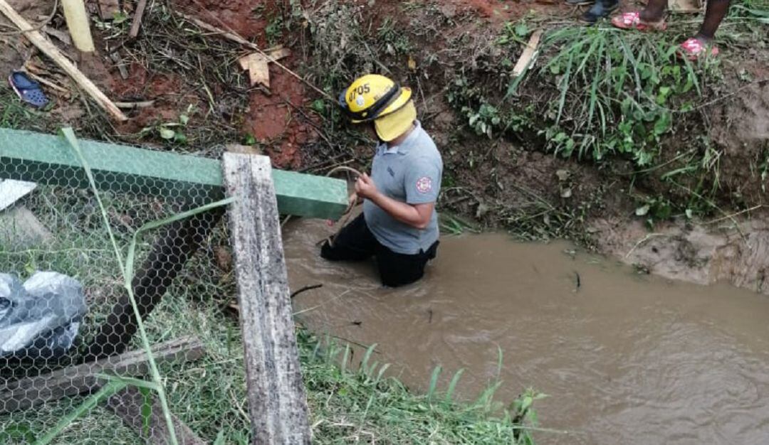 Organismos de socorro