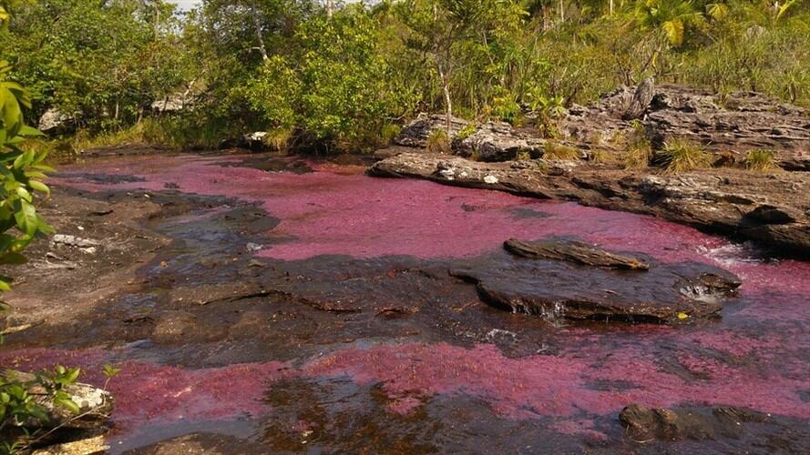 Parque Nacional Sierra La Macarena. Foto: Colprensa
