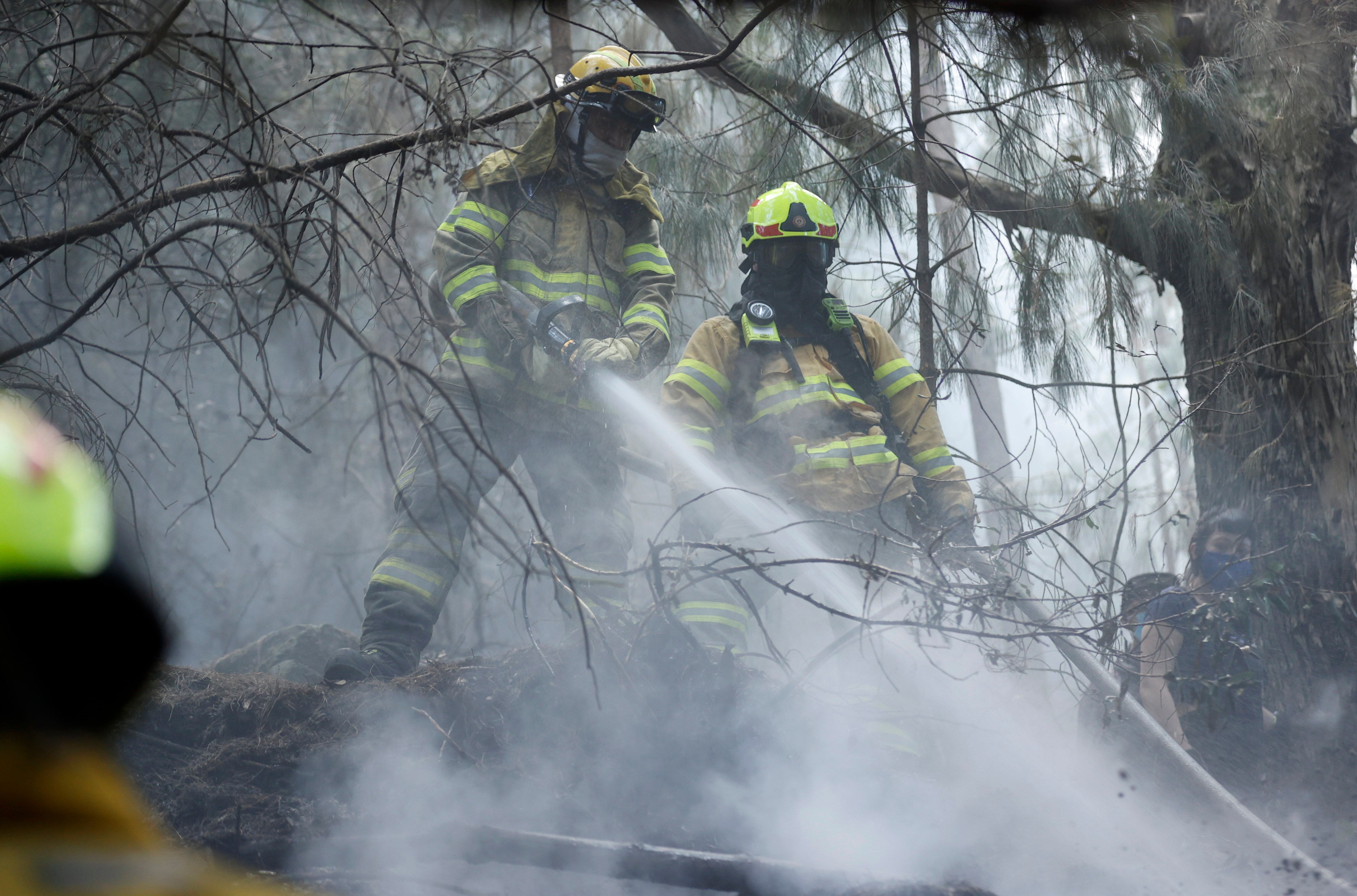 Imagen de referencia de incendios forestales./ Foto: EFE/ Mauricio Dueñas Castañeda