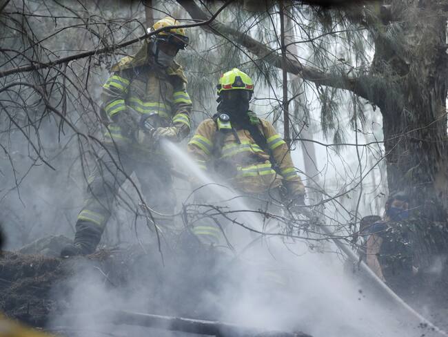 Imagen de referencia de incendios forestales./ Foto: EFE/ Mauricio Dueñas Castañeda
