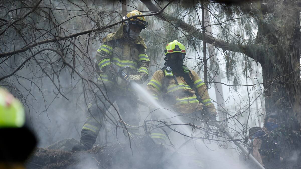 Manatí, el municipio con mayor afectación vegetal por incendios forestales en Atlántico