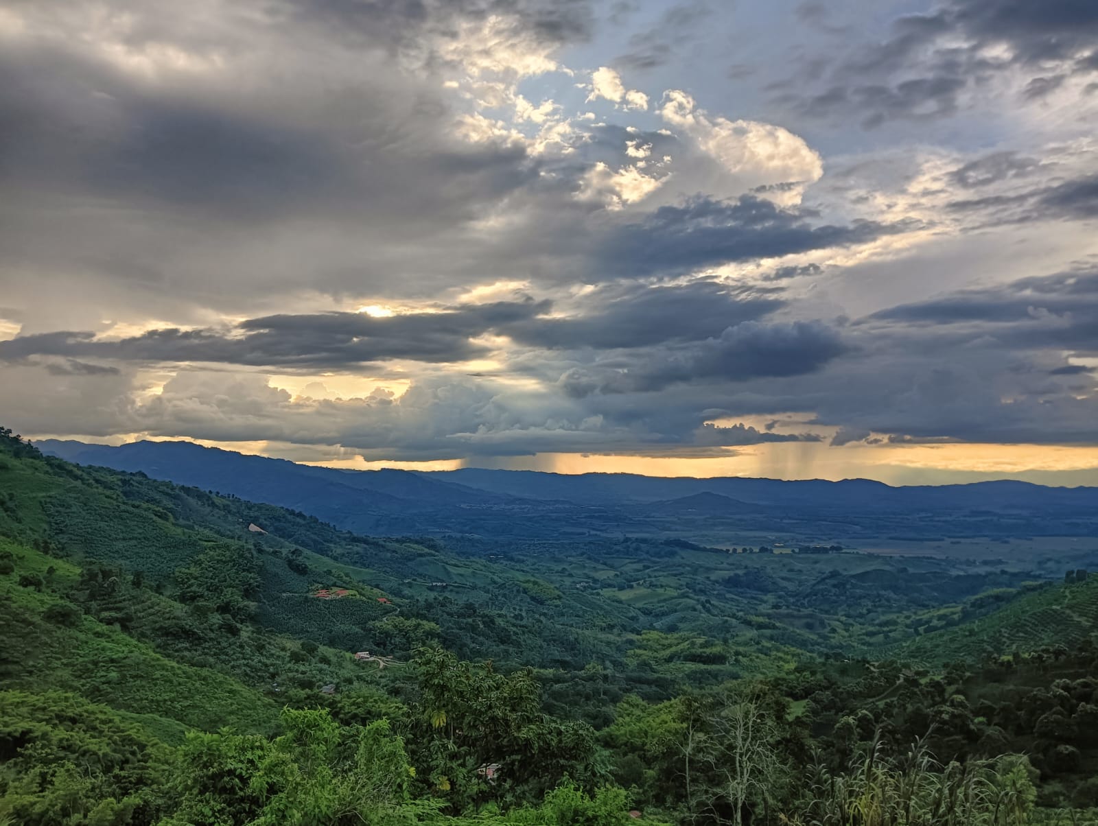 Paisaje en el Quindío- Archivo Caracol Radio
