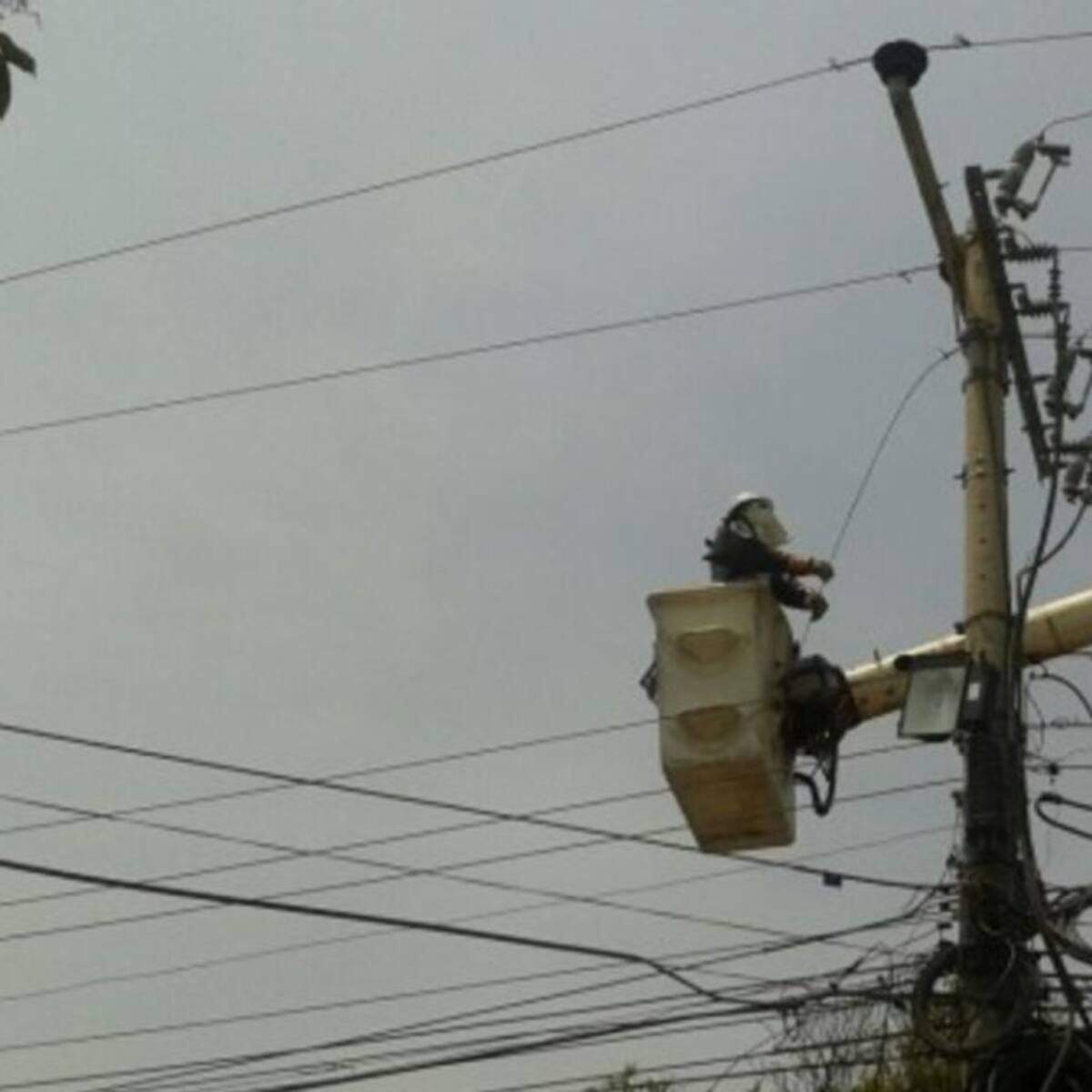 Más de 4.300 metros de cable eléctrico han sido robados en Pereira este año