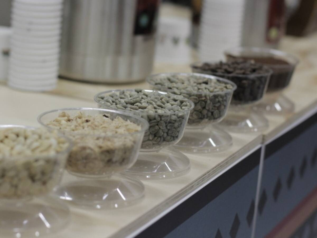 Producción de café en Colombia alcanzó los 14,4 millones de sacos