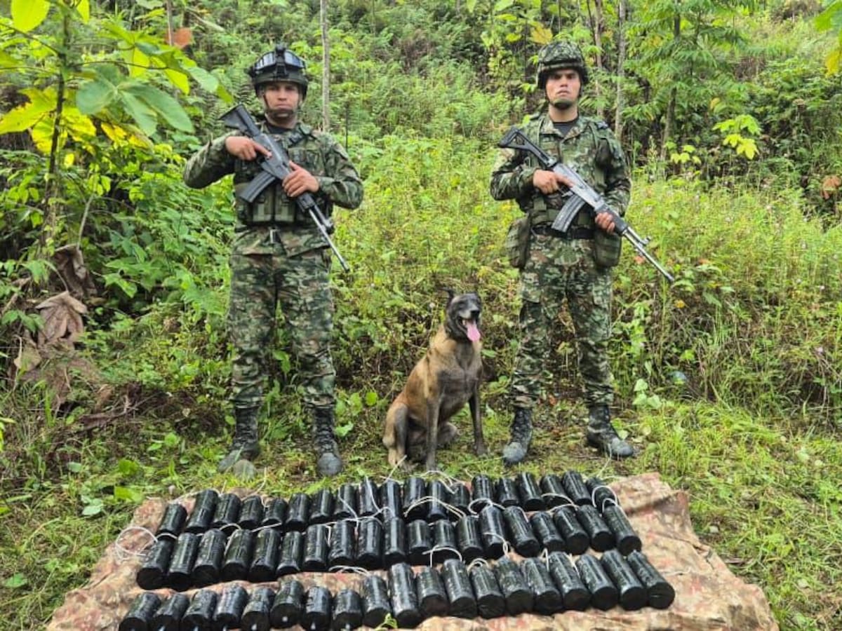 Ejército en Nariño destruyó un enorme depósito de explosivos