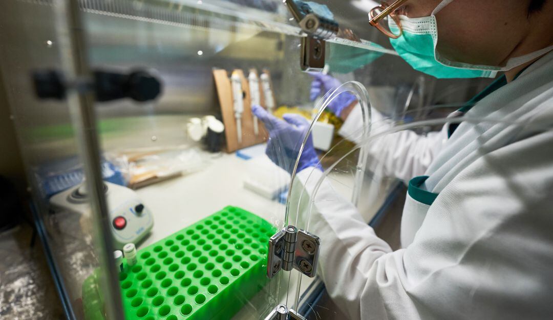 Pruebas para detectar el Covid-19