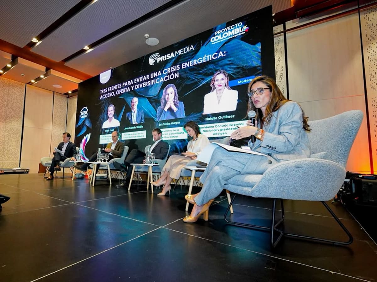 Conservación ambiental y seguridad energética: así son las propuestas de Proyecto Colombia