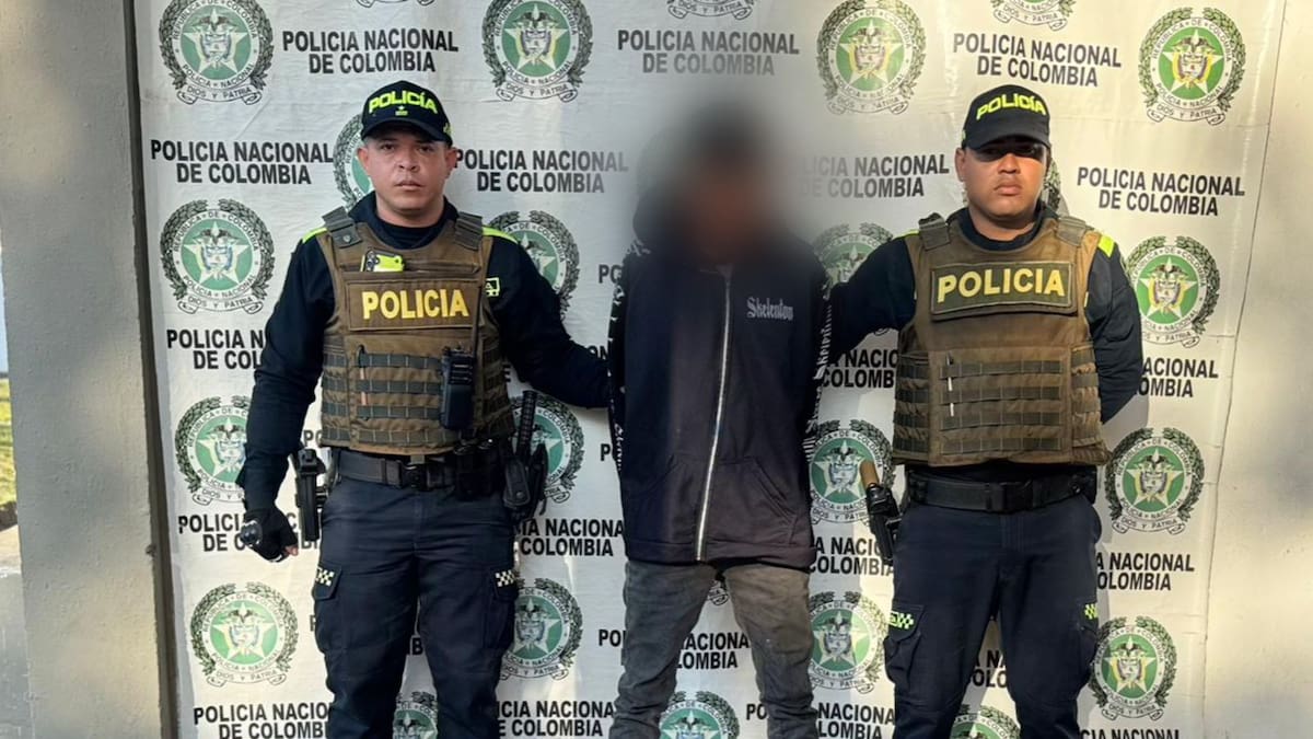 Policía rescata 26 hicoteas y captura a presunto traficante en Magangué, Bolívar