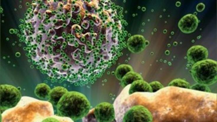 Descubren anticuerpos que neutralizarían la propagación del sida
