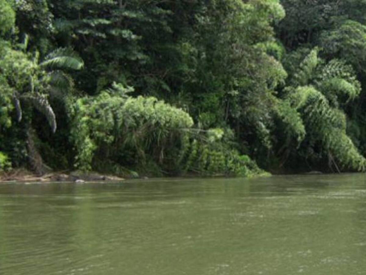 Un joven desapareció en el Río la Vieja en Quindío