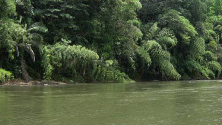 Director Udegerd Quindío, César Jaramillo