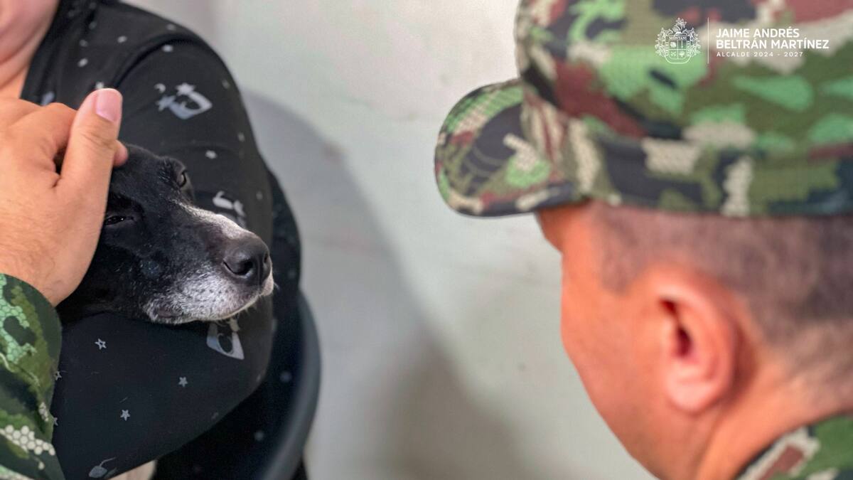 Dany García, fundación Adogtanos