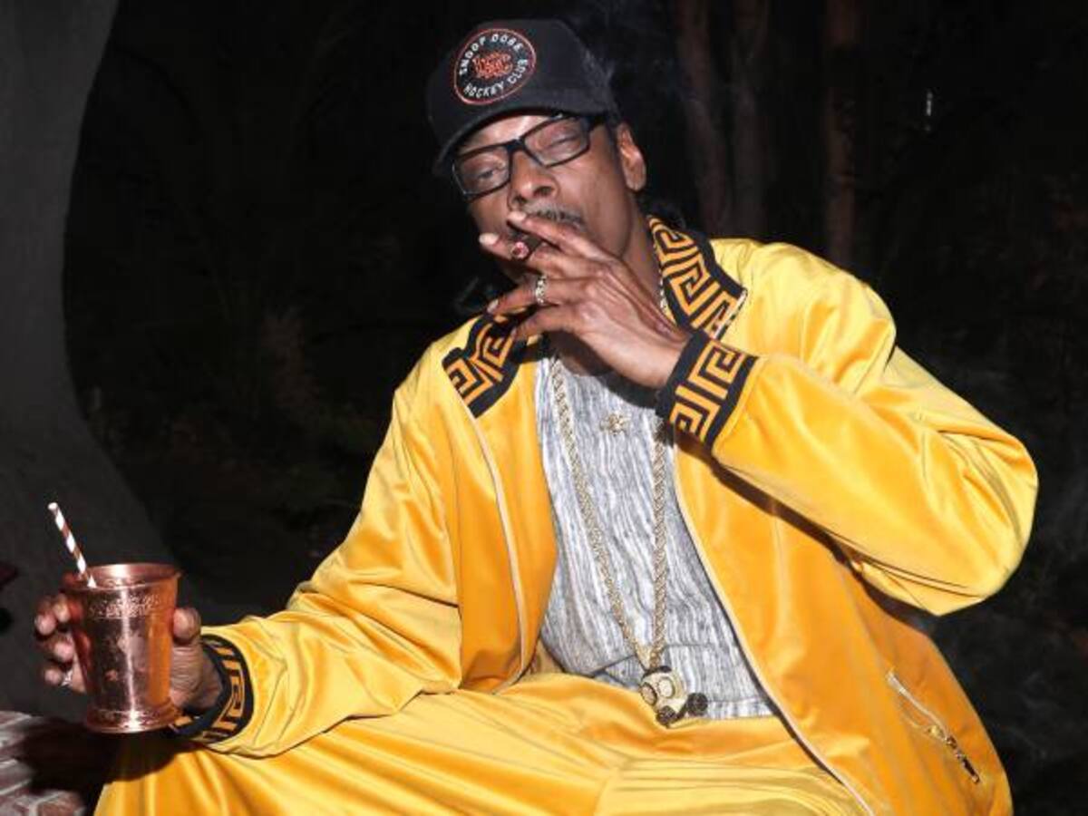 Demi Lovato prohíbe la marihuana en su hogar, excepto para Snoop Dogg