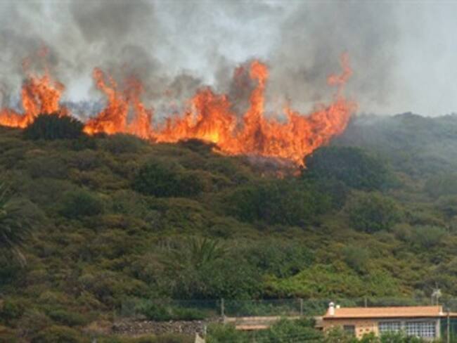 Las altas temperaturas amenazan incendios forestales en el país