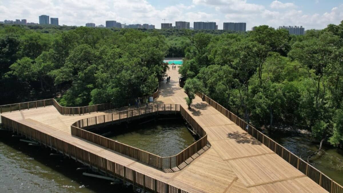 ¿Cuánto cuesta el ingreso a la Ciénaga de Mallorquín? Así puede visitar este ecoparque