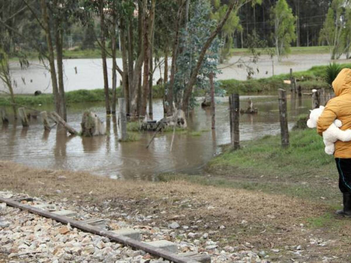 Las familias afectadas por la pasada ola invernal en el Tolima a la espera de ayudas humanitarias