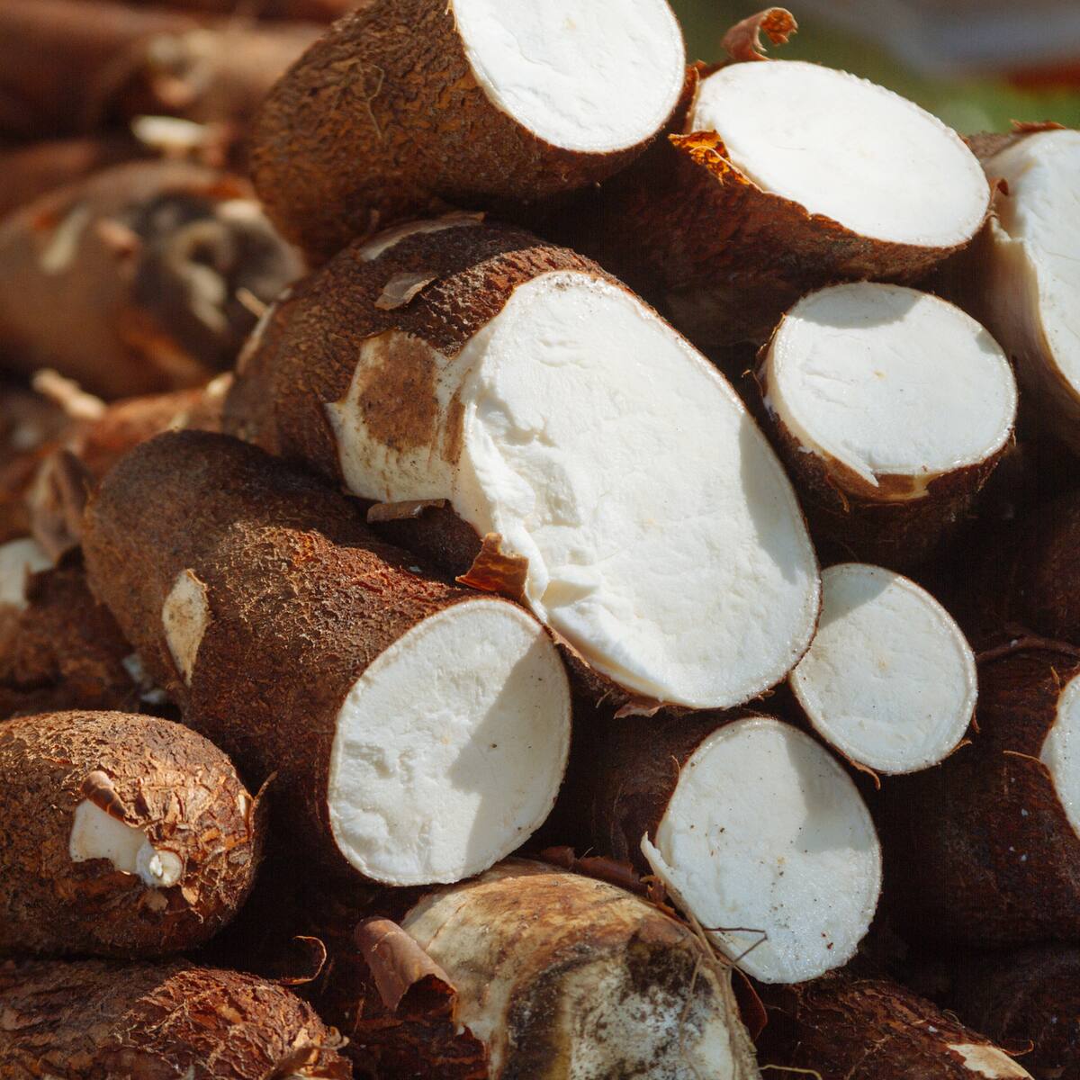 ¿Qué enfermedades ayuda a prevenir la yuca? Según expertos