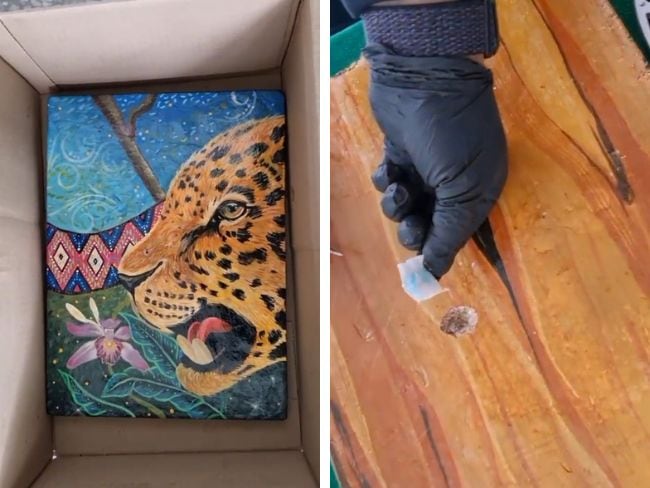 Fotos: Cortesía Prensa Policía Metropolitana de Bogotá.