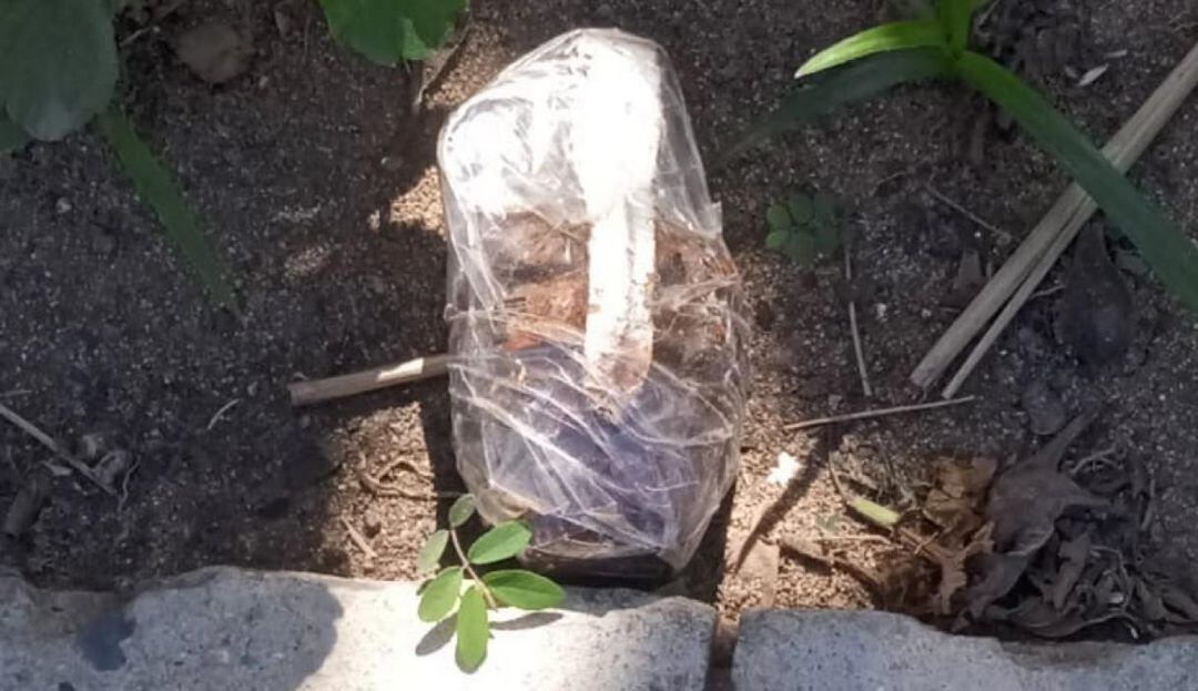 El supuesto artefacto explosivo. 