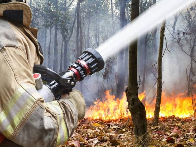 El protocolo para controlar un incendio forestal en Colombia