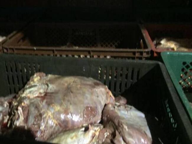 Decomisan carne procedente de Venezuela en La Guajira