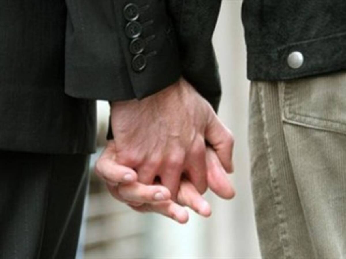 Anuncian en la Cámara varios proyectos sobre uniones homosexuales