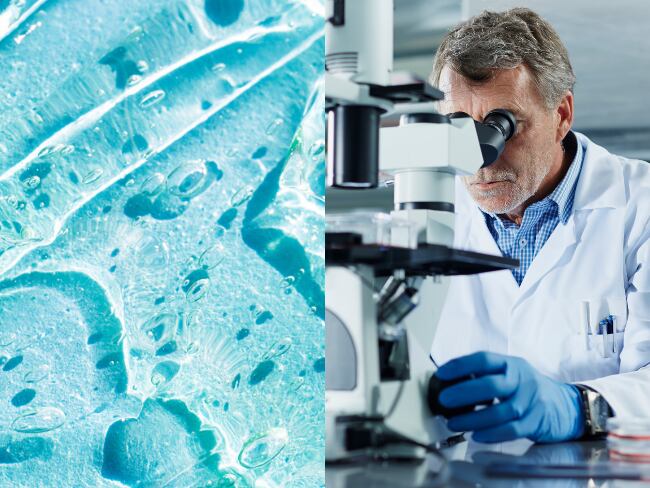 Hidrogel, científico, imágenes de referencia (Getty Images).