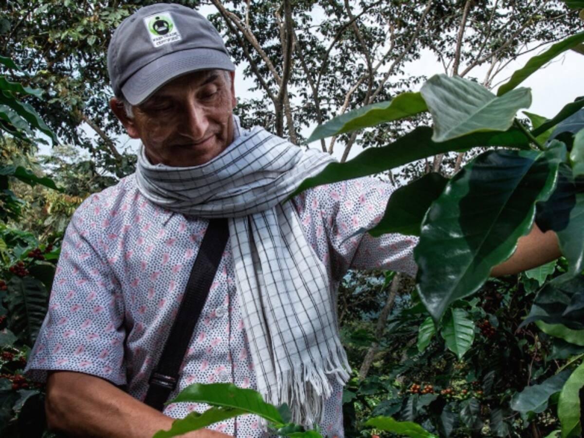 Instituciones públicas impulsan economías locales a través de compra de productos agrícolas