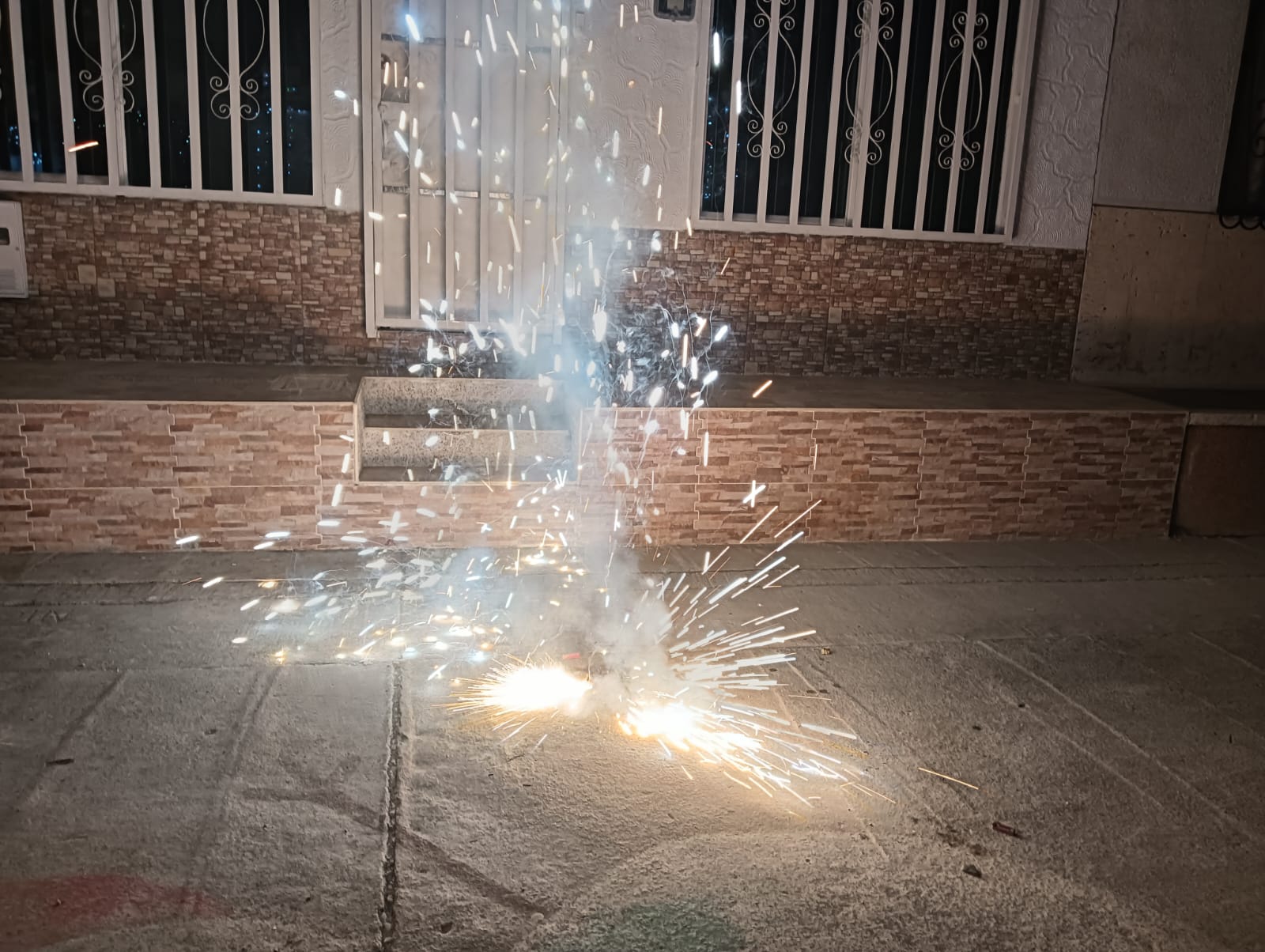 Imagen de referencia de pólvora. / Foto: Adrián Trejos.