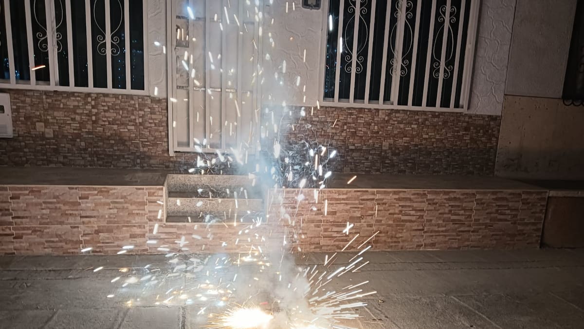 Javier Vélez, director Omgerd Armenia