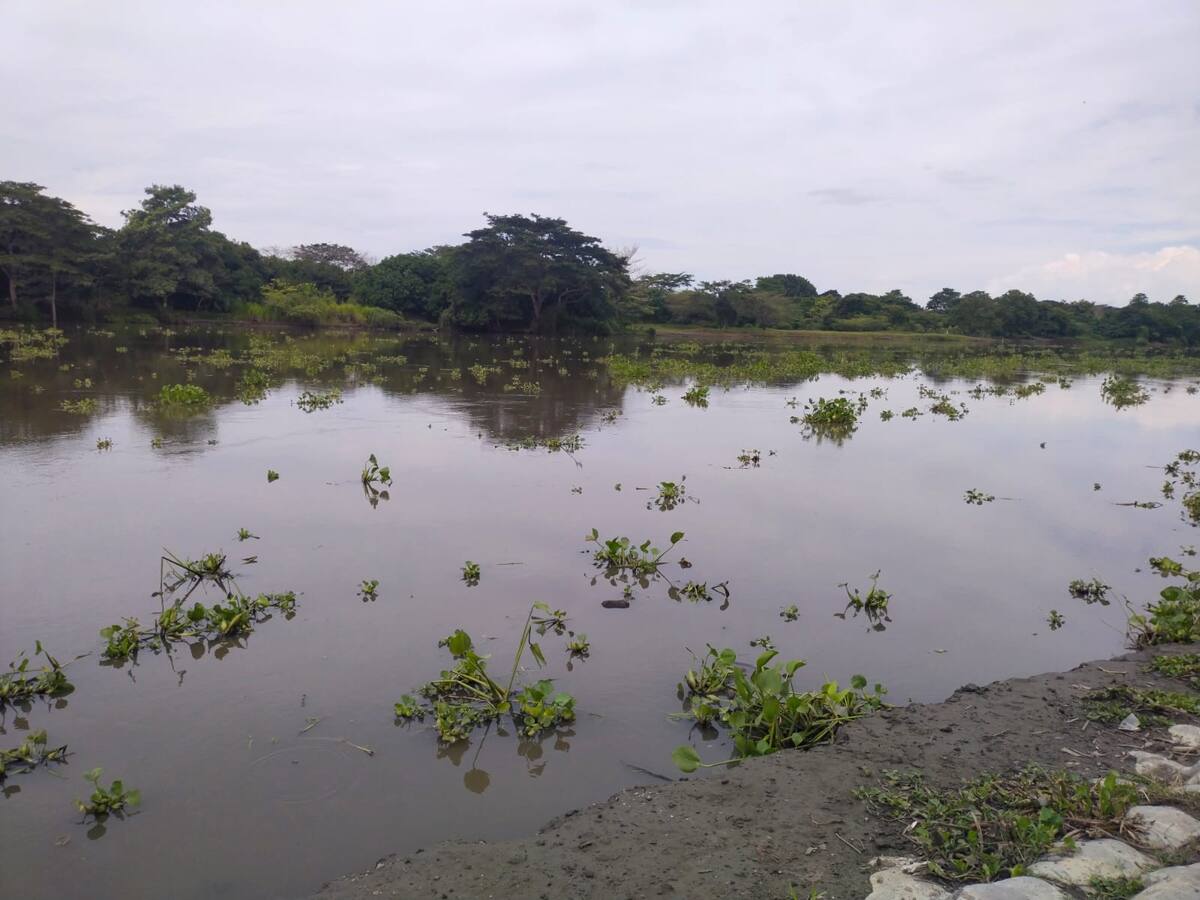 La orden era no rescatar los cuerpos del Canal del Dique: víctimas