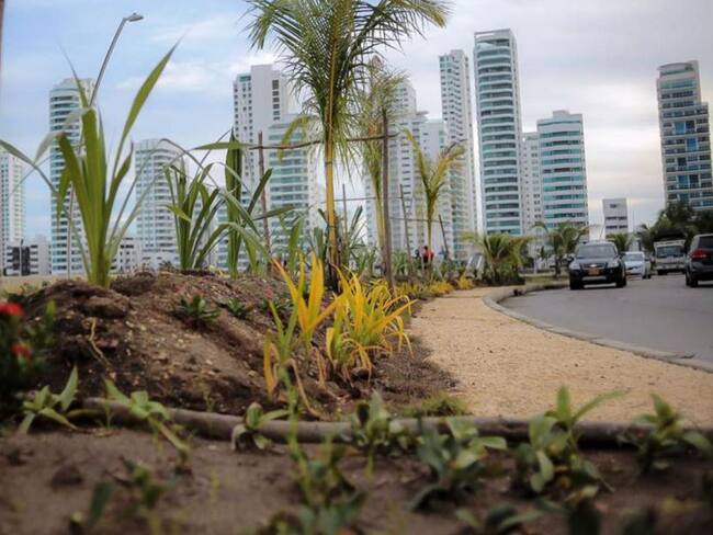 Entregan zonas verdes del Paseo Peatonal de Bocagrande