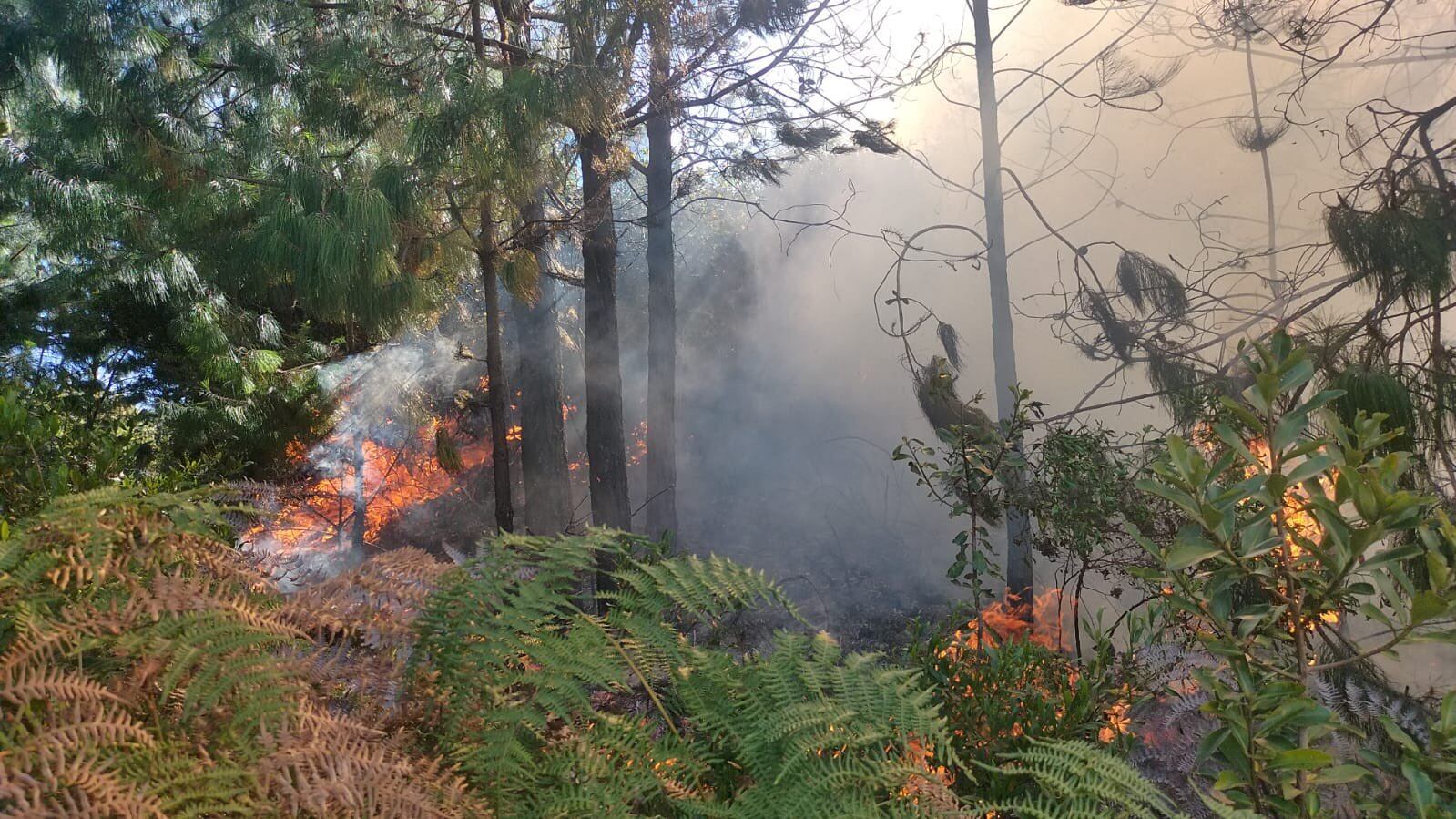 Foto: Jorge Emilio Rey, cuenta de X.