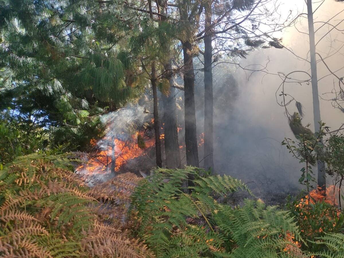 Cundinamarca registra 30 incendios forestales en las últimas dos semanas