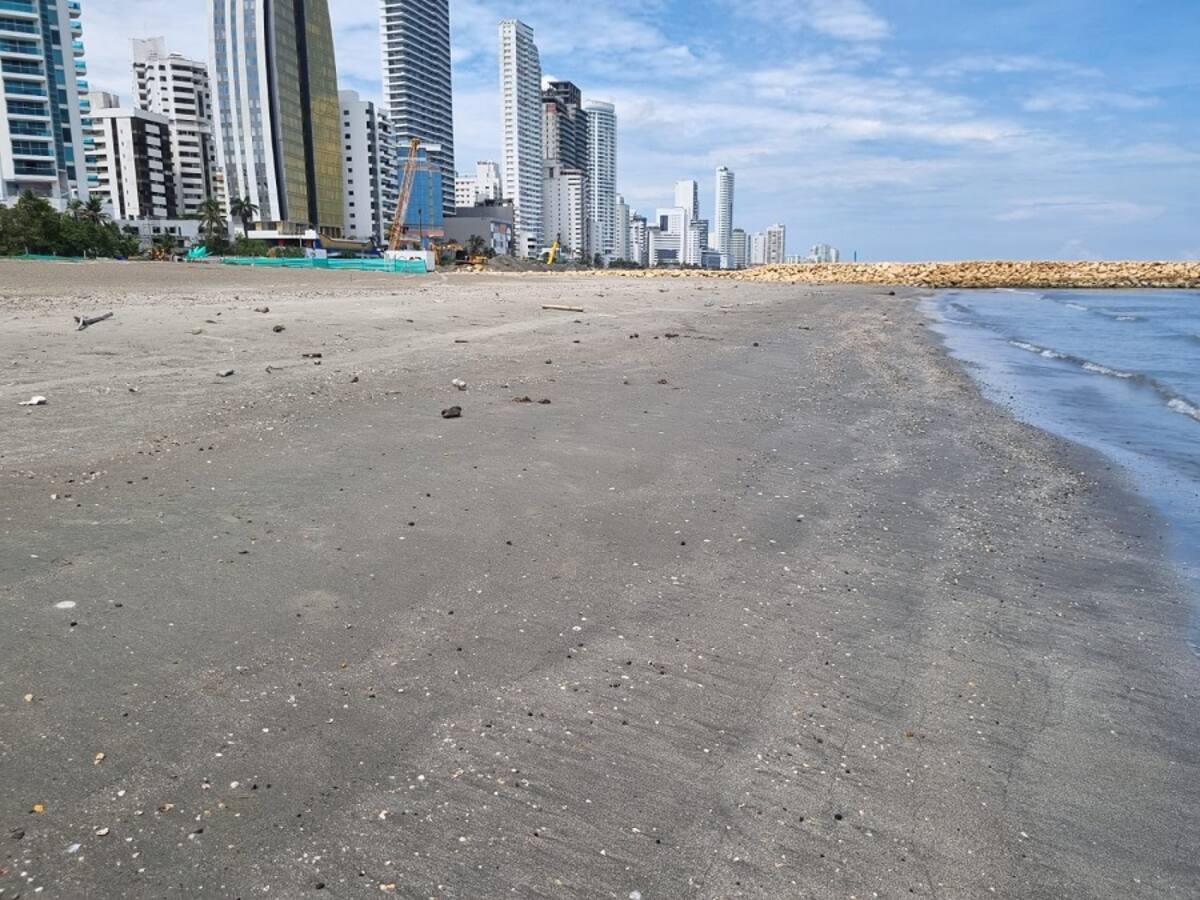 Servidores turísticos piden agilizar apertura de playa 5 para temporada de mitad de año