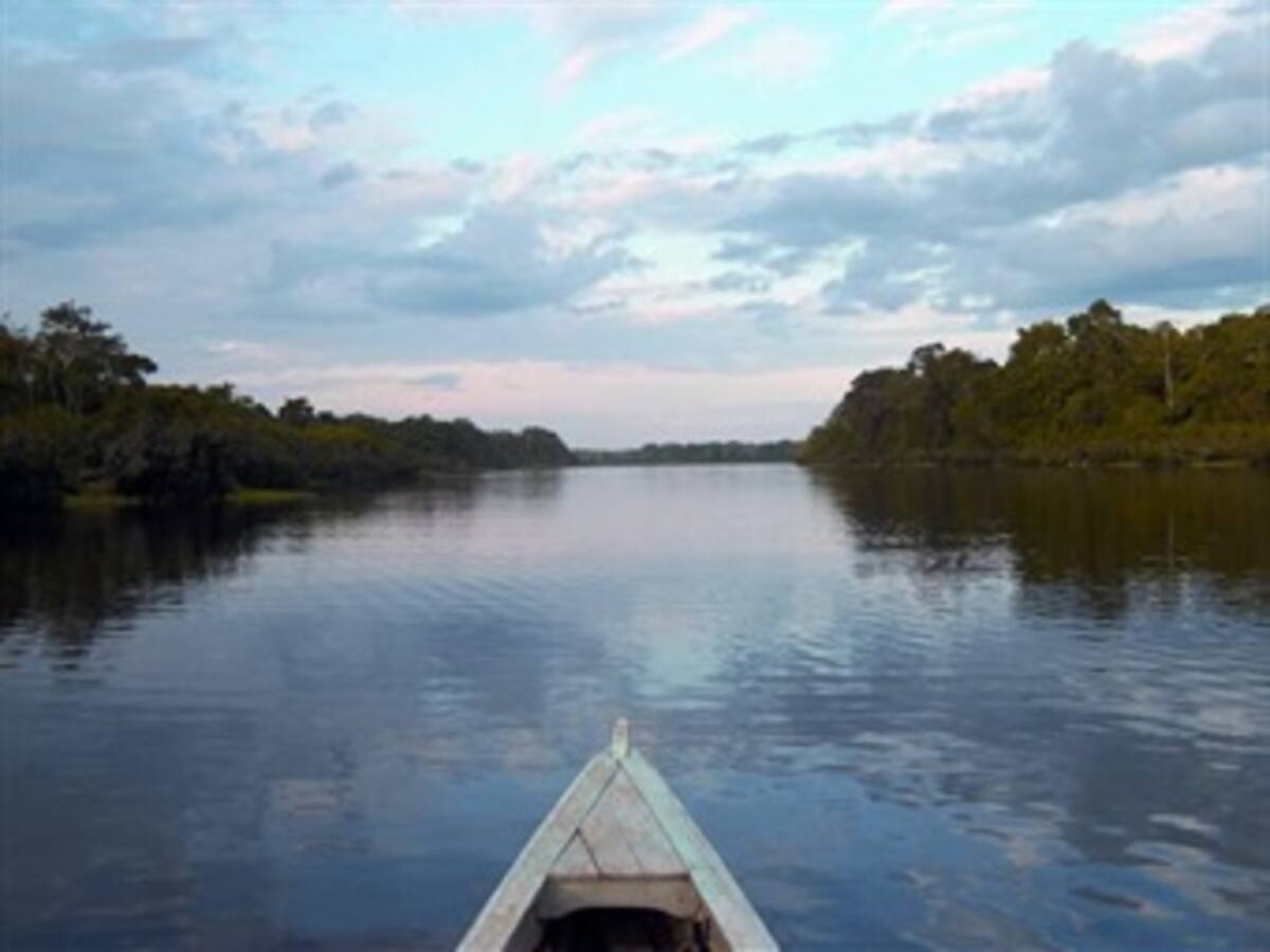 NASA y UE aplicarán un sistema de información ambiental en la Amazonía