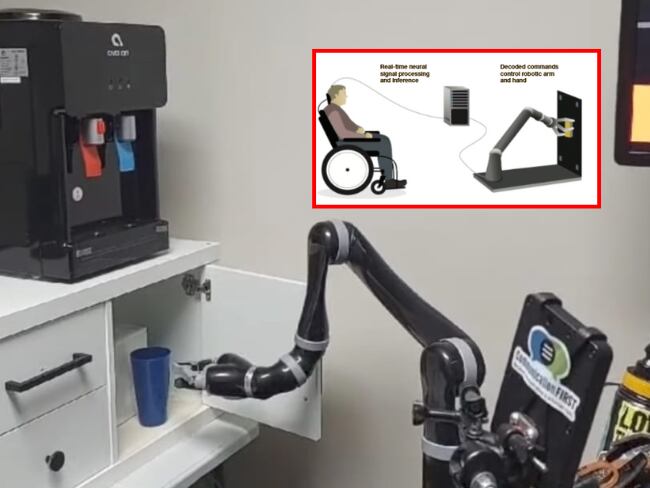 Fotos: Tomadas del canal oficial de Youtube de UC San Francisco (UCSF).