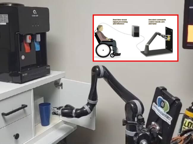 Fotos: Tomadas del canal oficial de Youtube de UC San Francisco (UCSF).