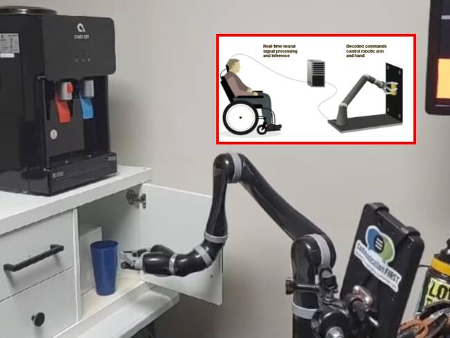 Fotos: Tomadas del canal oficial de Youtube de UC San Francisco (UCSF).