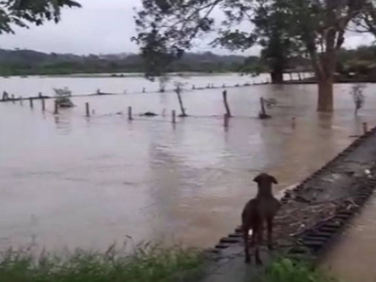 Deslizamientos y creciente de quebrada en La Tebaida,emergencias por lluvia
